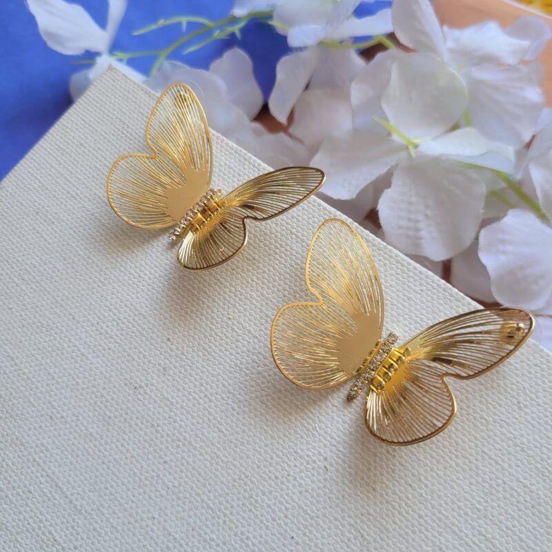 FBN-01-04-2025-65-268-01